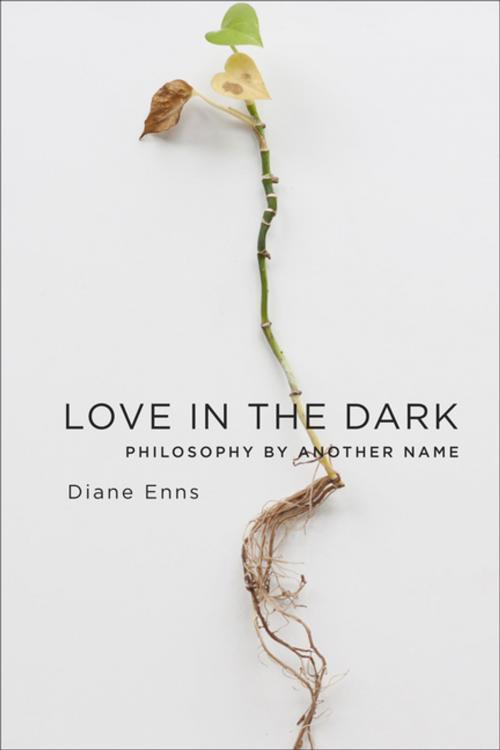 Cover of the book Love in the Dark by Diane Enns, Columbia University Press