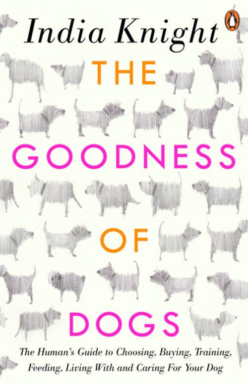 Cover of the book The Goodness of Dogs by India Knight, Penguin Books Ltd