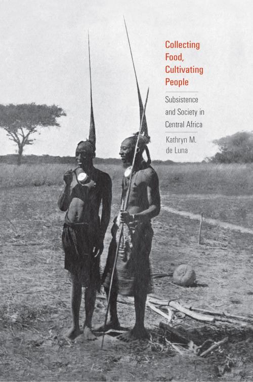 Cover of the book Collecting Food, Cultivating People by Kathryn M. de Luna, Yale University Press