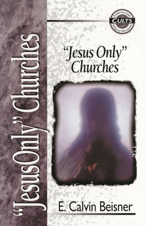 Cover of the book Jesus Only Churches by E. Calvin Beisner, Alan W. Gomes, Zondervan Academic