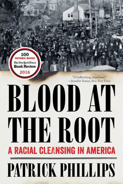 Cover of the book Blood at the Root: A Racial Cleansing in America by Patrick Phillips, W. W. Norton & Company