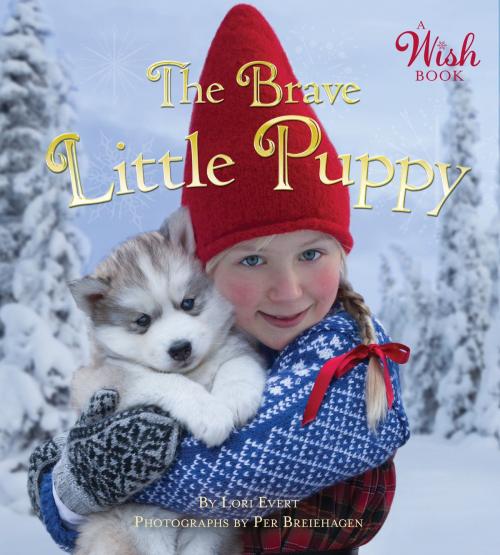 Cover of the book The Brave Little Puppy (A Wish Book) by Lori Evert, Random House Children's Books
