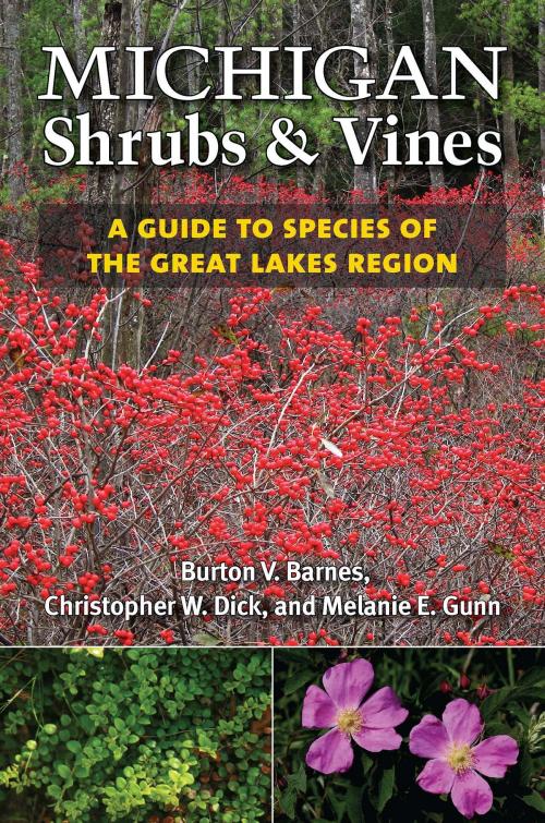 Cover of the book Michigan Shrubs and Vines by Burton V. Barnes, Melanie W Gunn, Christopher E Dick, University of Michigan Press