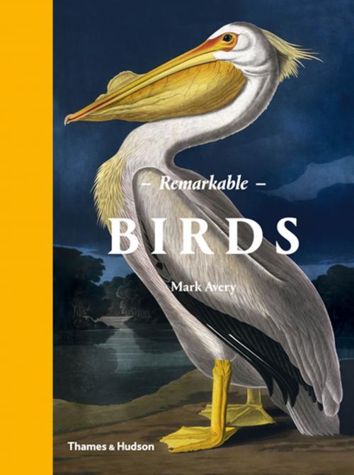 Cover of the book Remarkable Birds by Mark Avery, Thames & Hudson