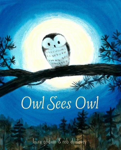 Cover of the book Owl Sees Owl by Laura Godwin, Rob Dunlavey, Random House Children's Books