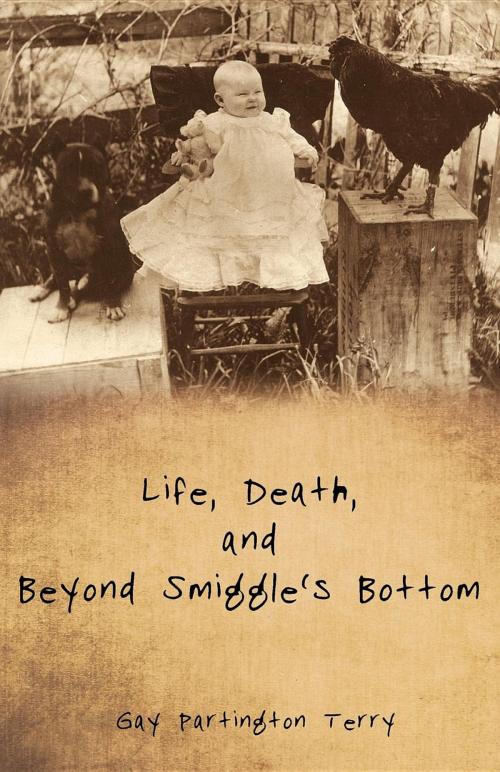 Cover of the book Life, Death, and Beyond Smiggle's Bottom by Gay Partington Terry, Gay Terry