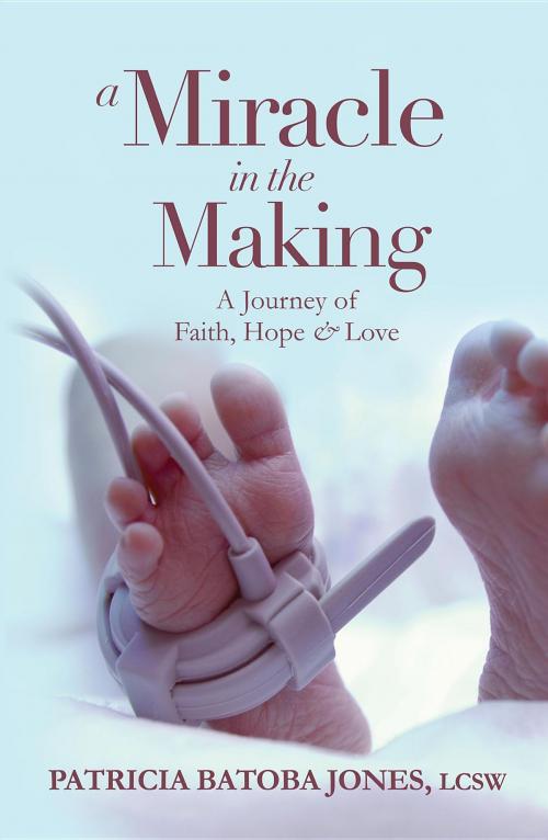 Cover of the book A Miracle in the Making by Patricia Batoba Jones, Patricia Batoba Jones