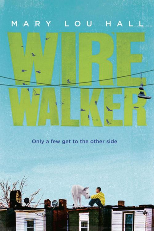 Cover of the book Wirewalker by Mary Hall, Penguin Young Readers Group