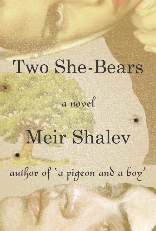 Cover of the book Two She-Bears by Meir Shalev, Knopf Doubleday Publishing Group