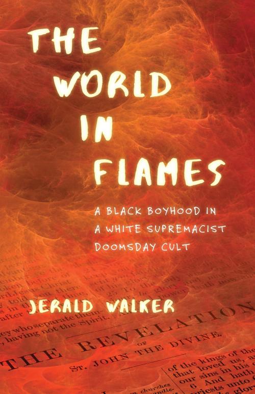 Cover of the book The World in Flames by Jerald Walker, Beacon Press