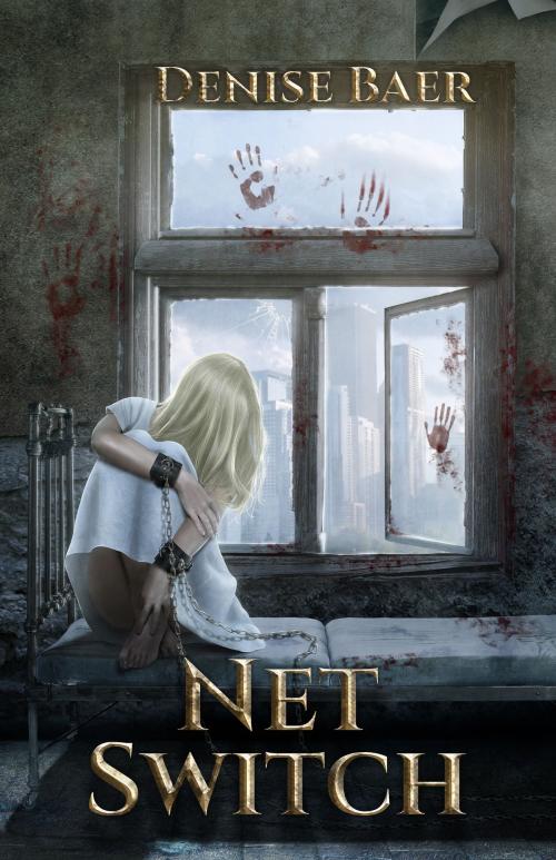 Cover of the book Net Switch by Denise Baer, Denise Baer