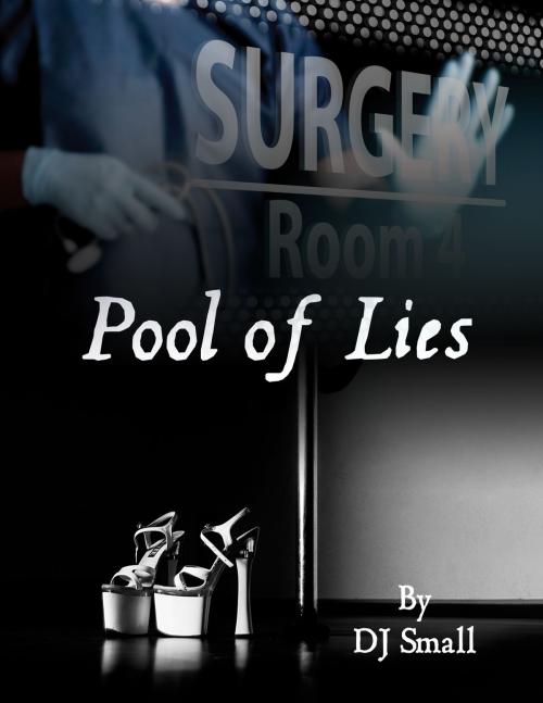 Cover of the book Pool of Lies by DJ Small, DJ Small