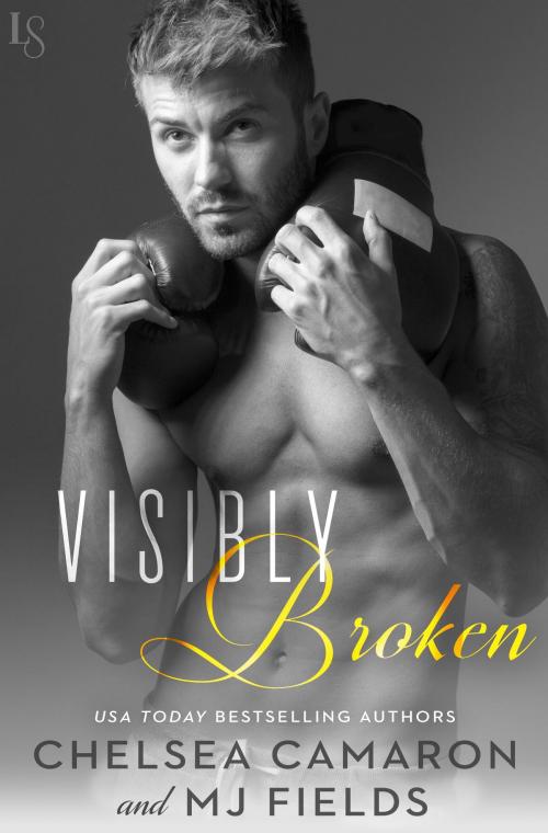 Cover of the book Visibly Broken by Chelsea Camaron, MJ Fields, Random House Publishing Group