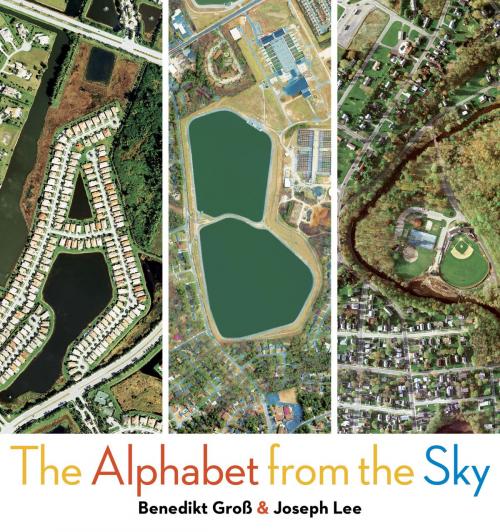 Cover of the book ABC: The Alphabet from the Sky by Benedikt Gross, Joey Lee, Penguin Young Readers Group