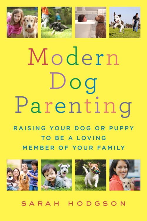 Cover of the book Modern Dog Parenting by Sarah Hodgson, St. Martin's Press