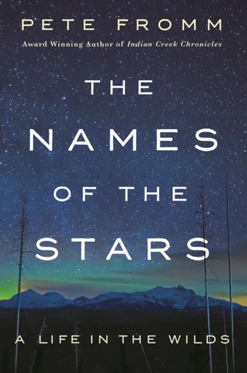 Cover of the book The Names of the Stars by Pete Fromm, St. Martin's Press