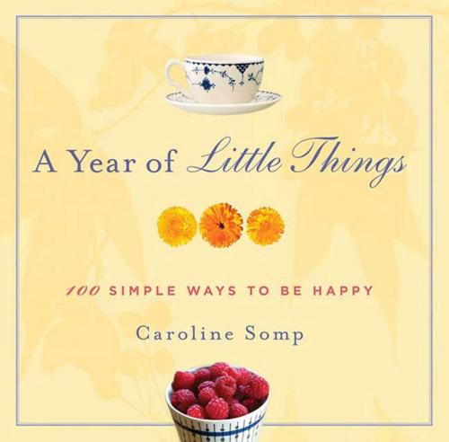 Cover of the book A Year of Little Things by Caroline Somp, St. Martin's Press