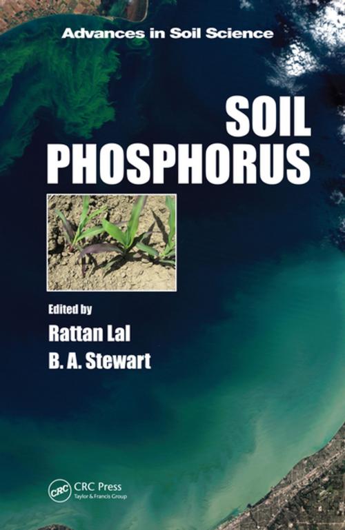 Cover of the book Soil Phosphorus by , CRC Press