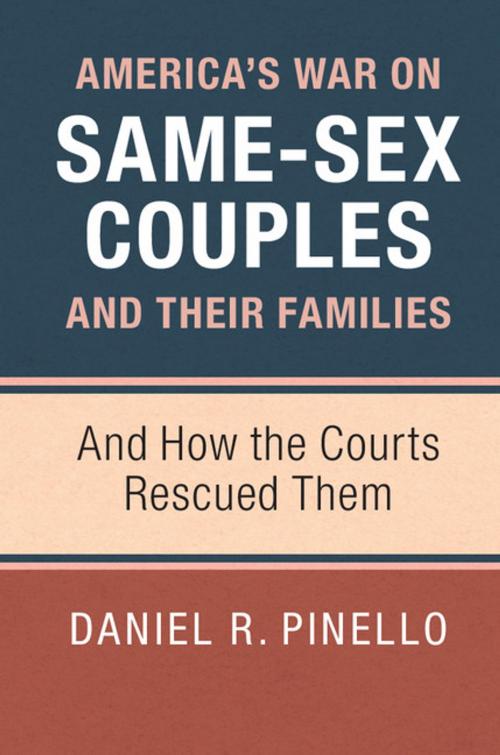 Cover of the book America's War on Same-Sex Couples and their Families by Daniel R. Pinello, Cambridge University Press