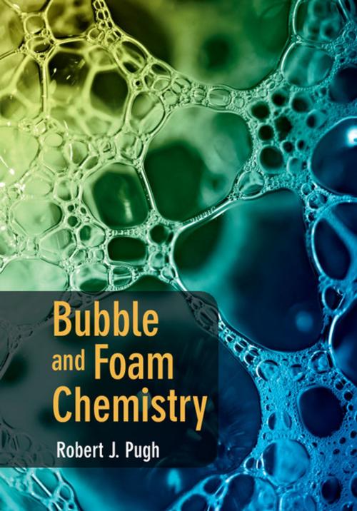 Cover of the book Bubble and Foam Chemistry by Robert J. Pugh, Cambridge University Press
