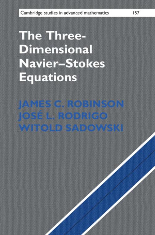 Cover of the book The Three-Dimensional Navier–Stokes Equations by James C. Robinson, Witold Sadowski, José L. Rodrigo, Cambridge University Press