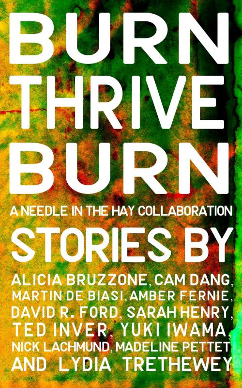 Cover of the book Burn, Thrive, Burn by Needle In The Hay, Alicia Bruzzone, Cam Dang, Martin De Biasi, Amber Fernie, David R. Ford, Sarah Henry, Ted Inver, Yuki Iwama, Nick Lachmund, Madeline Pettet, Lydia Trethewey, Needle In The Hay