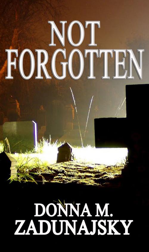 Cover of the book Not Forgotten by Donna Zadunajsky, CUSTOM BOOK PUBLICATIONS