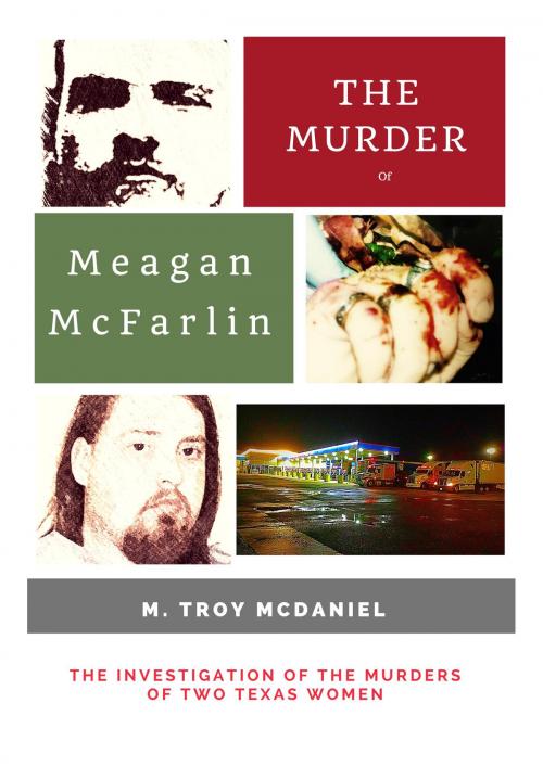 Cover of the book The Murder of Meagan McFarlin by M. Troy McDaniel, M. Troy McDaniel