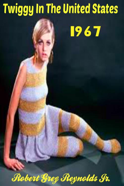 Cover of the book Twiggy In The United States 1967 by Robert Grey Reynolds Jr, Robert Grey Reynolds, Jr