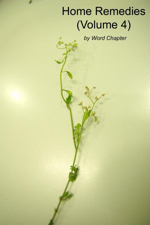 Cover of the book Home Remedies (Volume 4) by Word Chapter, Word Chapter