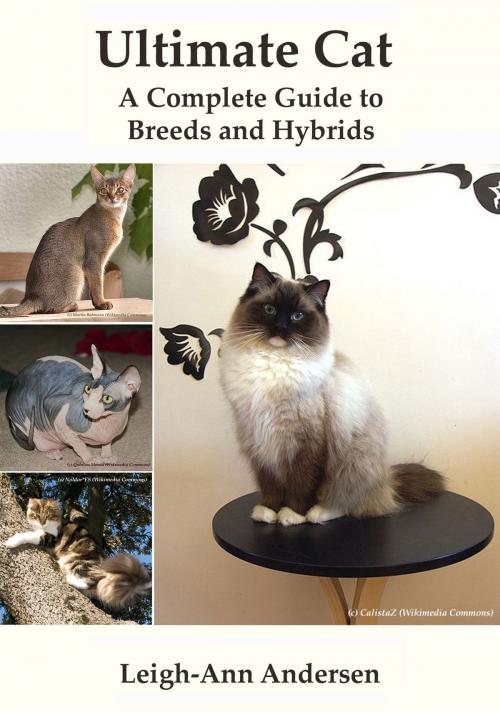 Cover of the book Ultimate Cat: A Complete Guide to Breeds and Hybrids by Leigh-Ann Andersen, Tear Drop Books