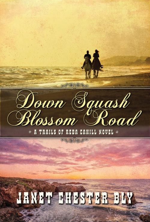 Cover of the book Down Squash Blossom Road by Janet Chester Bly, Bly Books