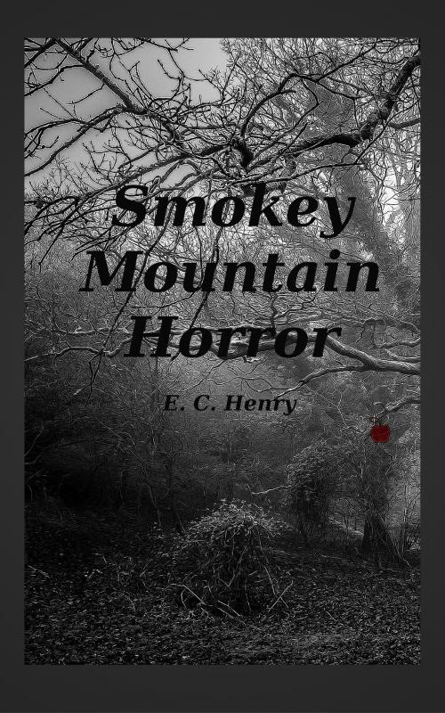 Cover of the book Smokey Mountain Horror by E. C. Henry, E. C. Henry