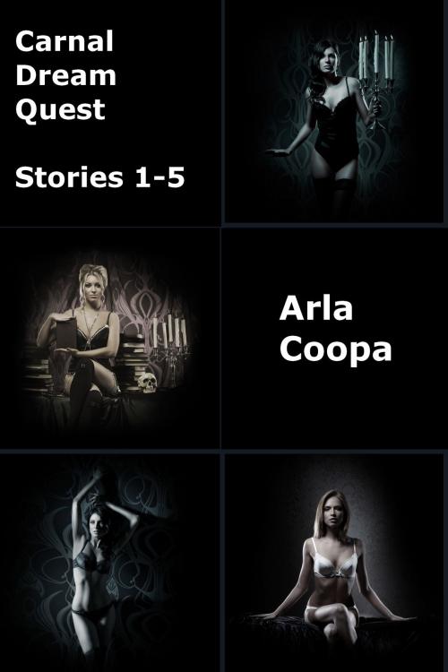 Cover of the book Carnal Dream Quest: Stories 1-5 by Arla Coopa, Arla Coopa