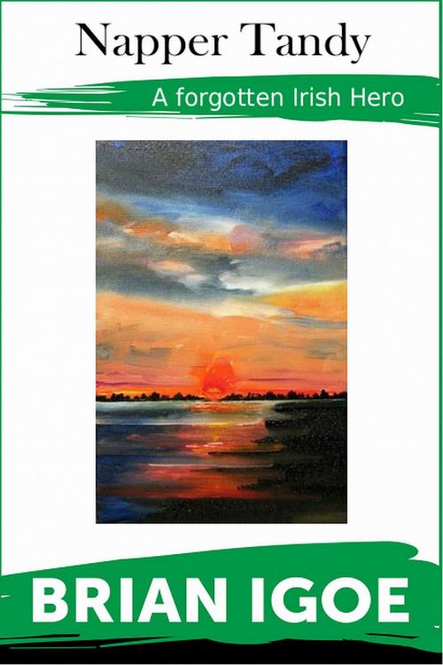 Cover of the book Napper Tandy, The Irish Patriot by Brian Igoe, Brian Igoe