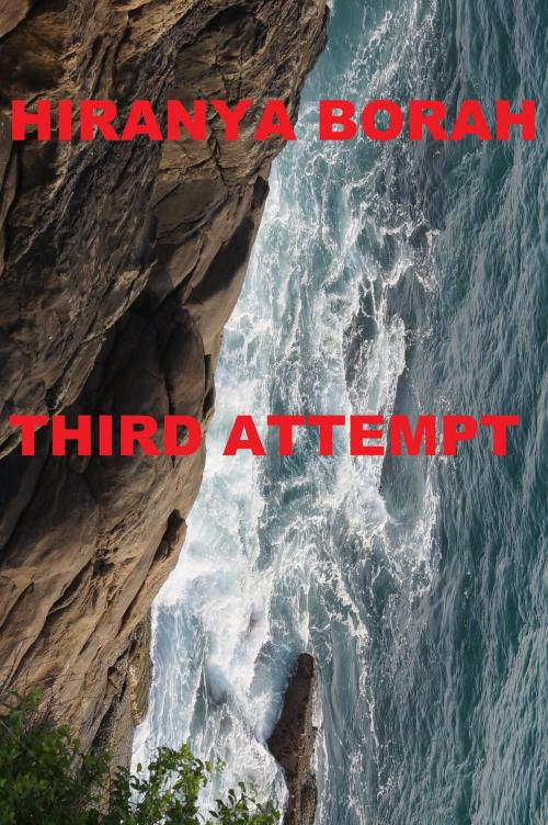 Cover of the book Third Attempt by Hiranya Borah, Hiranya Borah
