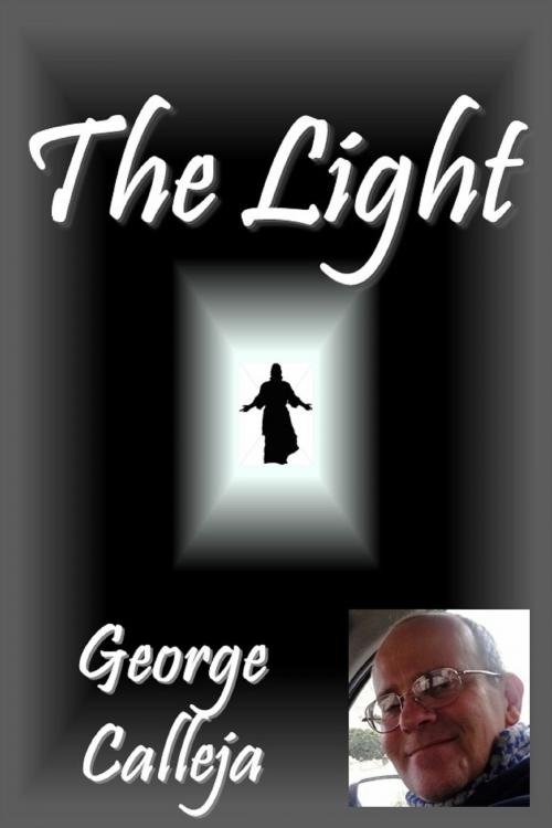 Cover of the book The Light by George Calleja, George Calleja