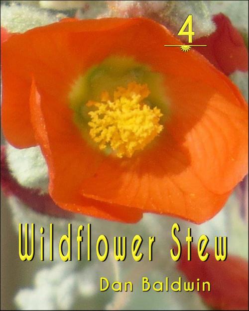 Cover of the book Wildflower 4 by Dan Baldwin, Dan Baldwin