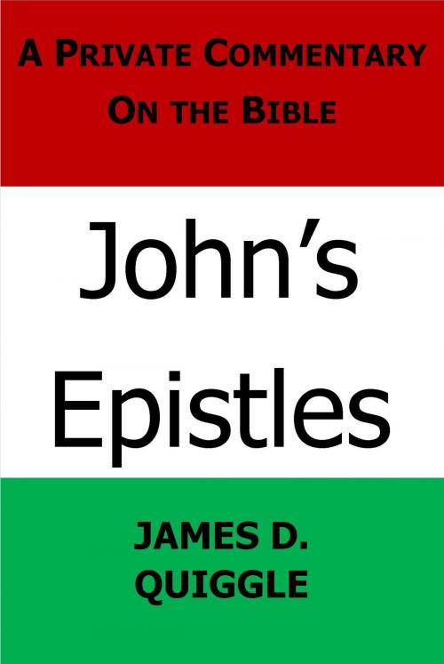 Cover of the book John's Epistles by James D. Quiggle, James D. Quiggle