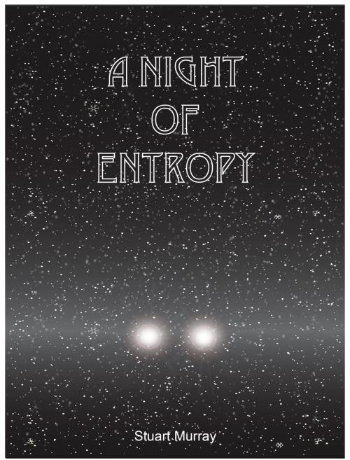 Cover of the book A Night Of Entropy by Stuart Murray, Stuart Murray