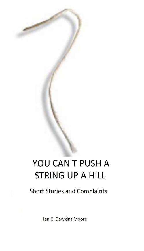 Cover of the book You Can't Push A String Up A HIll by Ian C. Dawkins Moore, Ian C. Dawkins Moore
