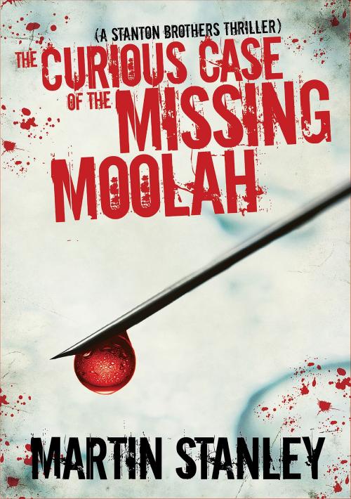 Cover of the book The Curious Case of the Missing Moolah by Martin Stanley, Martin Stanley