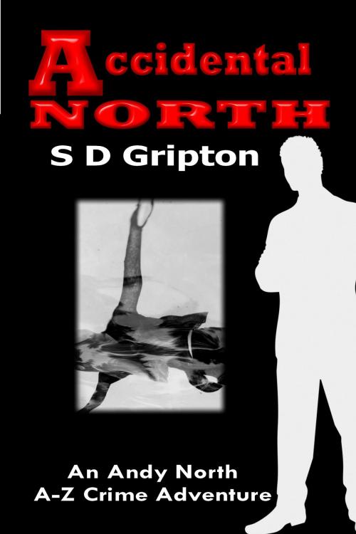 Cover of the book Accidental North by S.D. Gripton, S.D. Gripton