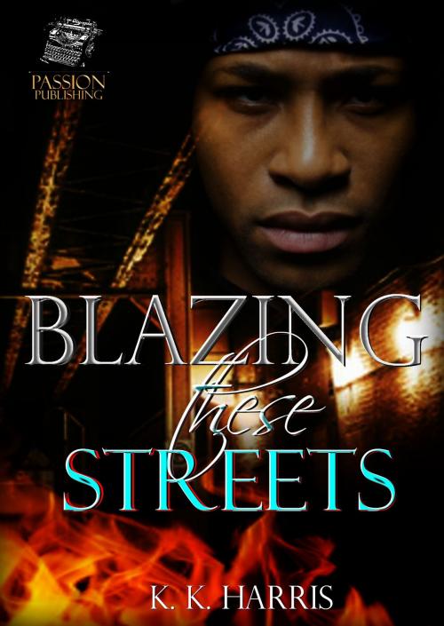 Cover of the book BLAZING these STREETS by K. K. Harris, K. K. Harris