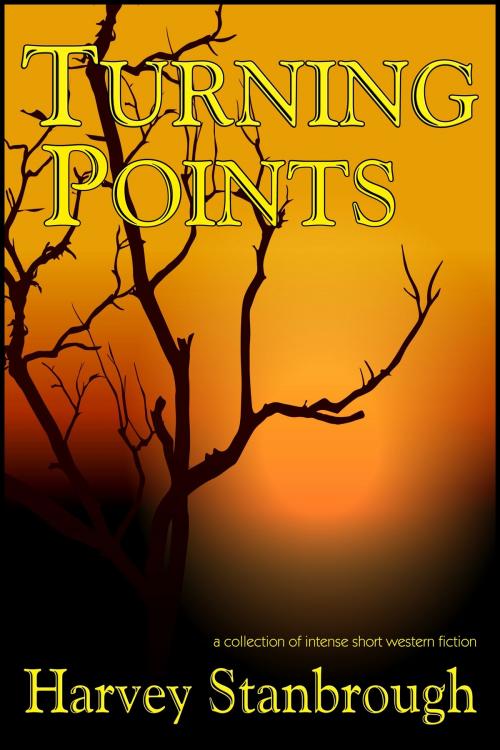 Cover of the book Turning Points by Harvey Stanbrough, StoneThread Publishing