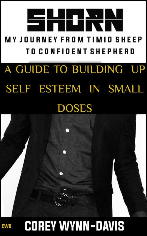 Cover of the book SHORN: My Journey From Timid Sheep to Confident Shepherd: A Guide To Building Self Esteem In Small Doses by Sirra Arris, Sirra Arris