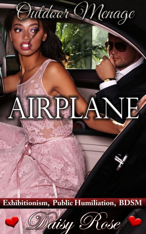 Cover of the book Outdoor Menage 1: Airplane by Daisy Rose, Fanciful Erotica