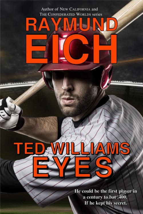 Cover of the book Ted Williams Eyes by Raymund Eich, CV-2 Books