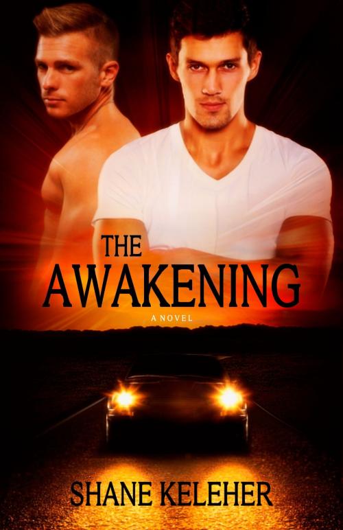 Cover of the book The Awakening by Shane Keleher, Shane Keleher