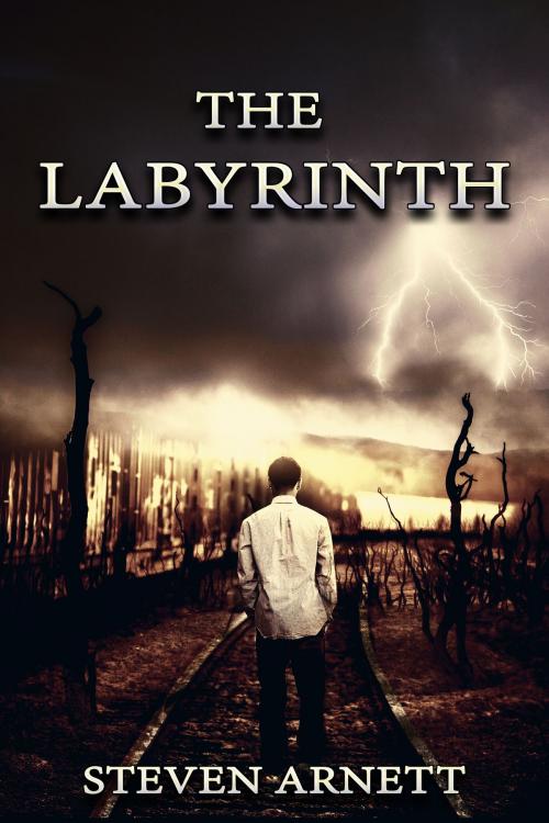 Cover of the book The Labyrinth by Steven Arnett, Steven Arnett